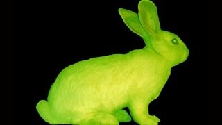 Glow In The Dark Rabbit? -- Mind Blow #70