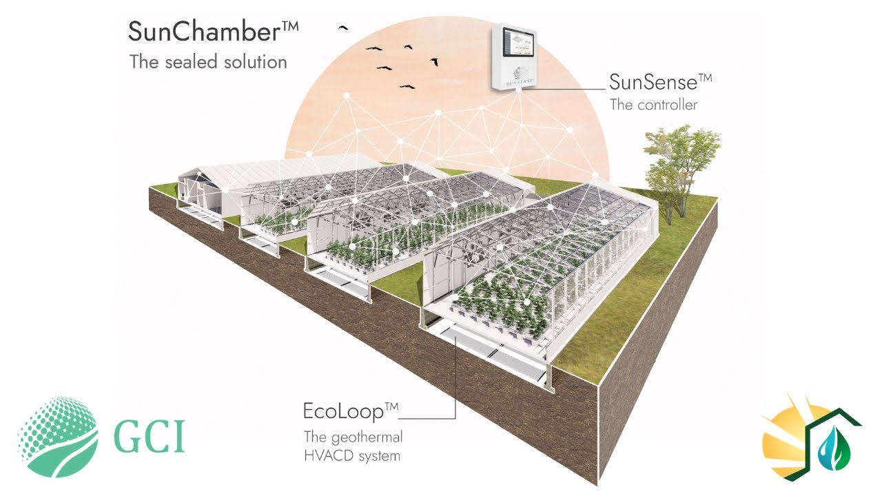 The Future of Cannabis Cultivation is Bright - Insights in Sealed Greenhouse CEA
