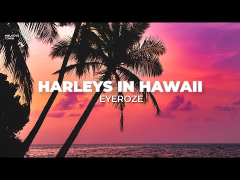 Harley's in Hawaii (eyeroze Cover)