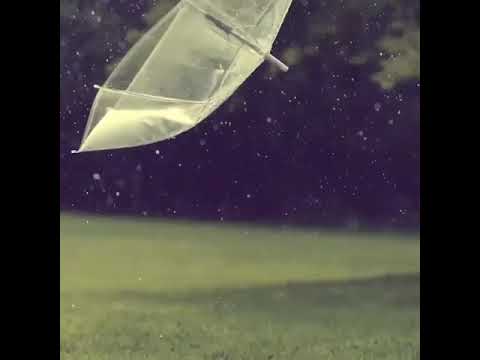 Taeyeon 'Secret' VCR Butterfly Kiss Concert