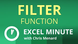 Excel FILTER Function |  Excel One Minute Functions Explained
