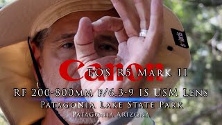 Canon R5 MK II with the 200-800m lens at Patagonia Lake State Park Arizona - Butterflies & Grackles