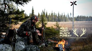 Elchjagd in Lappland bei der Härkila-Familie  - Moosehunt in Sweden - WildHuntBlackForest