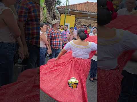 desfile de carreta del festival de la flor del espíritu santo 📍las minas Herrera #tipicaso507