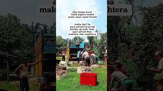 Download lagu Doa yg di kabulkan #farmers #petanikaret #petanimuda mp3