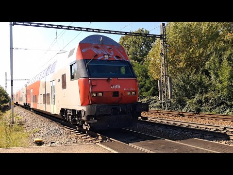 Trains in the Czech Republic | Břeclav station October 2025 | CityJet, RegioJet, ÖBB