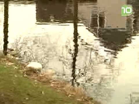 Vijvers aan de Watersnip in Waspik worden opgeknapt