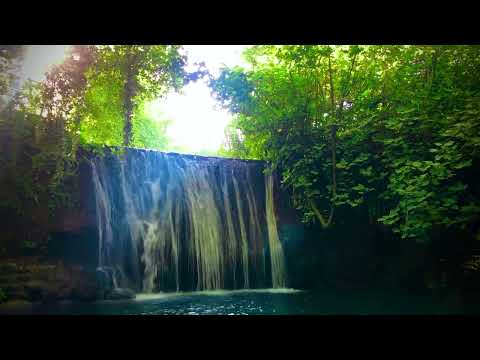 Nature in syria by Abdulhamid ♾️ 37 minutes HD