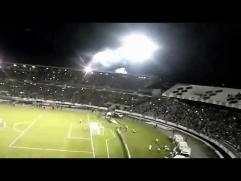 Santa Cruz CAMPEÃO Pernambucano 2015 (TORCIDA)