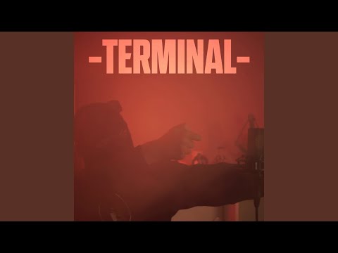Terminal