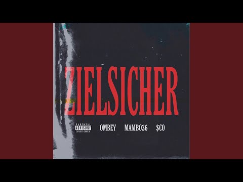 Zielsicher