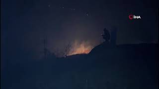 Hendek'te orman yangını