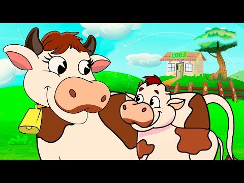 SEÑORA VACA, Canciones Infantiles