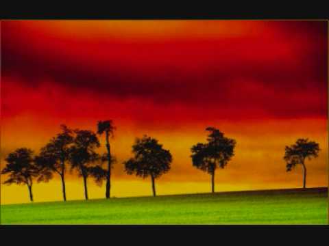 eloquent - gun alone dem glorify