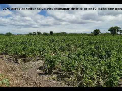 2.75 Acres At Sattur Taluk Virudhunagar District,One Open Well And Eb Free Service