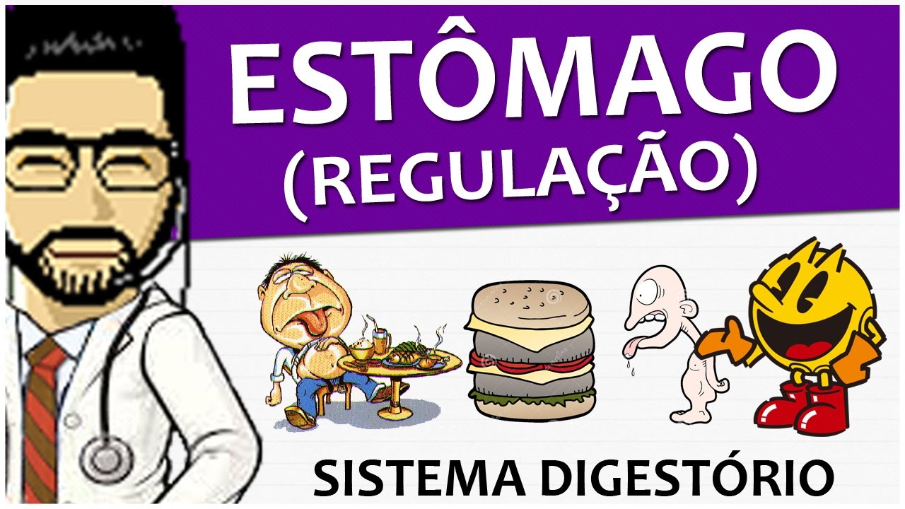 Sistema Digestório 13 - Estômago - Regulação (vídeo aula)