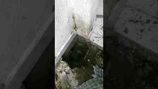 Capa Vídeo Vazamento em Residência