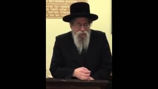 Harav Lazer Dovid Rappaport