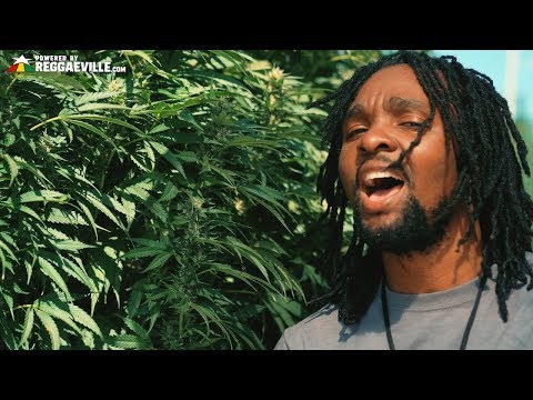 Delly Ranx - Weed Market [Official Video 2018]