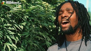 Delly Ranx - Weed Market [Official Video 2018]
