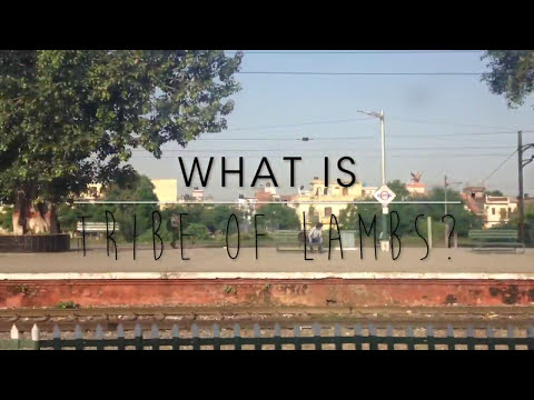 download lagu mp3 mp4 Tribe Of Lambs, download lagu Tribe Of Lambs gratis, unduh video klip Tribe Of Lambs