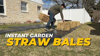 Straw Bale Gardening - The INSTANT & AFFORDABLE way to Grow 🌾