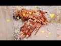 Kisi Se Tum Pyar Karo WhatsApp Status