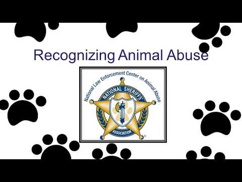 Recognizing Animal Abuse