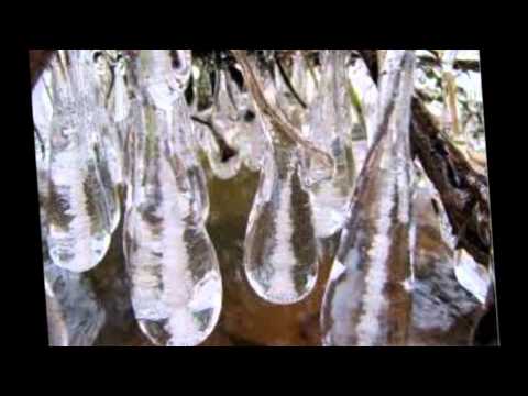 Andre Stade - Feuer , Wind und Eis