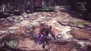 HR100を目指して
