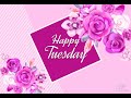 Happy Tuesday Whats App Status - Happy Tuesday Morning Greetings