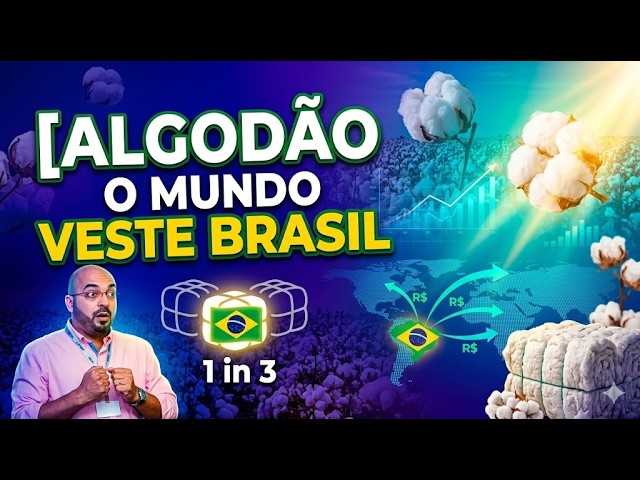 Algodão - O mundo veste Brasil: 1 em cada 3 fardos exportados tem origem brasileira.