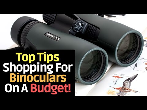 download lagu mp3 mp4 Best Birding Binoculars Under 100, download lagu Best Birding Binoculars Under 100 gratis, unduh video klip Best Birding Binoculars Under 100