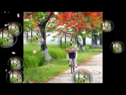 Thể hiện bởi Đàm Vĩnh Hưng