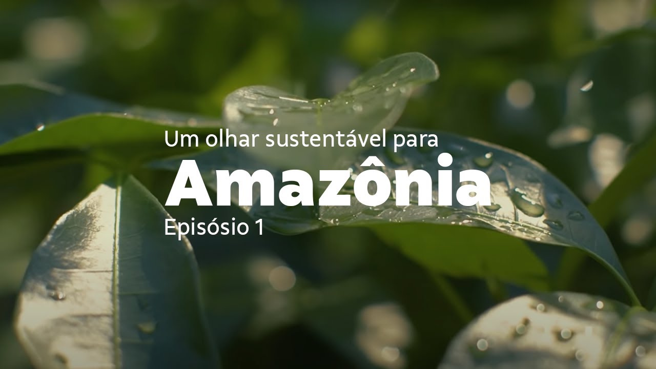 Um olhar sustentável para Amazônia | Episódio 01: Nasce uma floresta
