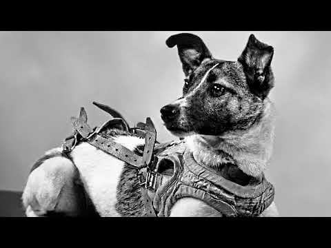 MC Kenny - Laika (Prod. By MISTER WHITE)