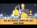 Ali Ali Bolo Yaro Ali Ali Hardam Zahir Miyan Qawwali Haqiqat حقیقت