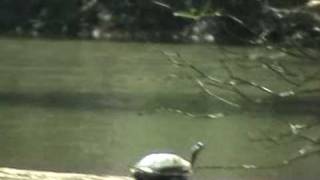preview picture of video 'Bamboo Raft ride in Kabini River at Kuruva Island Wayanad Kerala'