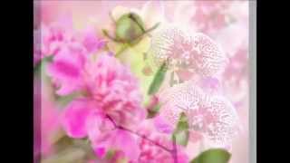 Bir Şarkı Duyarsan Sevdadan Yana (Hatırla Sevgilim) - Faruk Tınaz