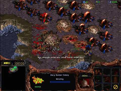 StarCraft: Brood War - 1 Zerg vs 7 Zerg (vs 7 computers ) Map: Big Game Hunters
