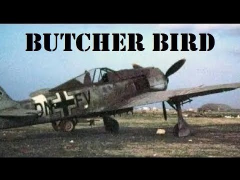 Focke-Wulf Fw 190 Documentary