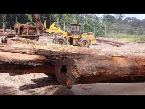 Volvo FH 440 no transporte de todas.