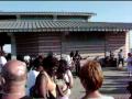 Coney Island NY Musician