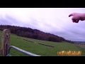 The Field Where Alfred The Great Battle Scene Was Filmed 1969
