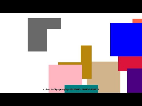 Video #sftp-gcs-pkg-20220405-214054-796713
