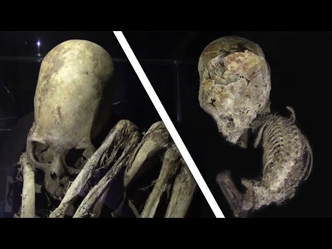 Die Nephilim (Riesen) aus der Bibel