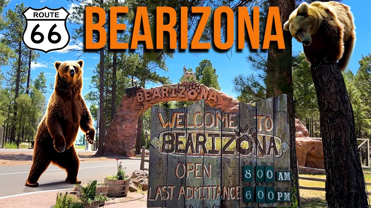 Bearizona  Arizona's Drive-Thru Wildlife Park