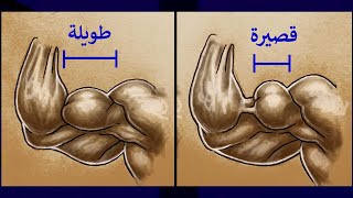 هل جيناتك ضعيفة