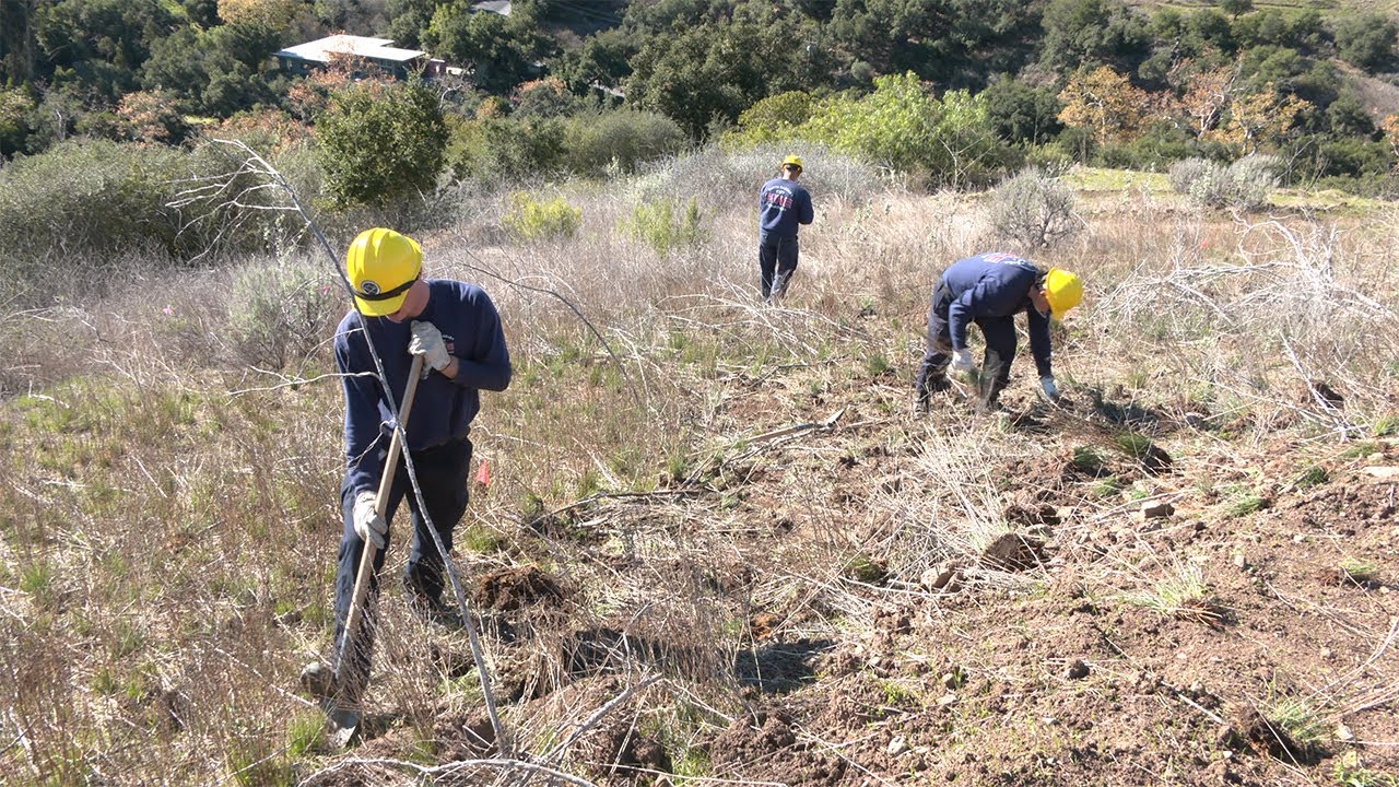 Wildfire Resiliency Project