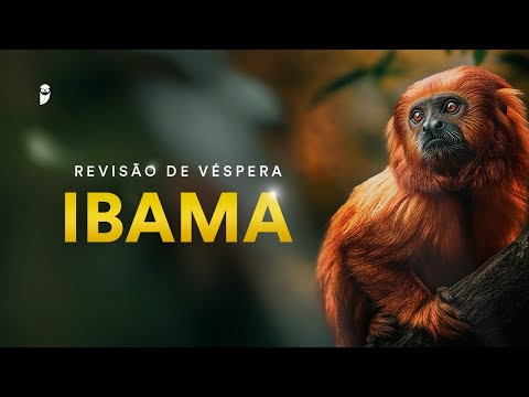 Revisão de Véspera IBAMA